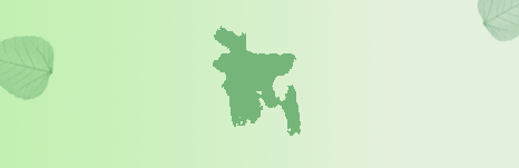 Imagebd